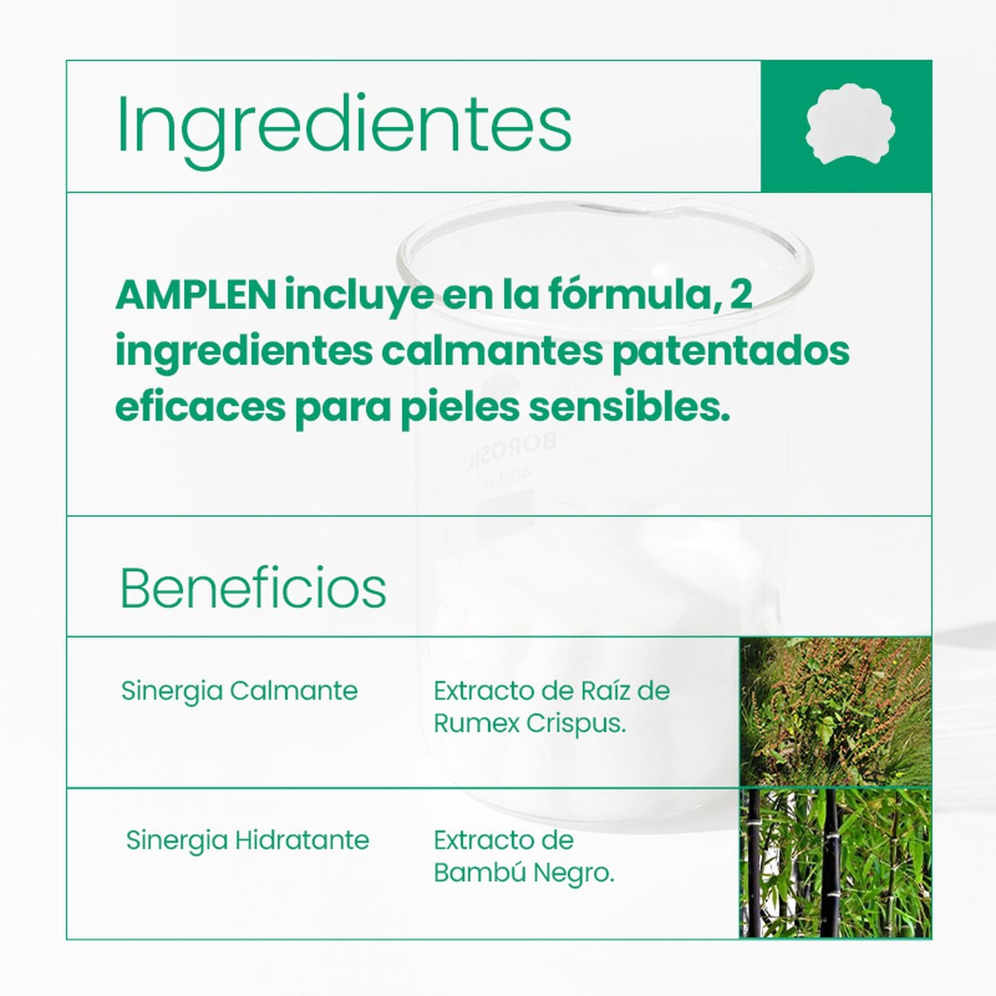 Parche Tónico Multipropósito AMPLEN Centella Asiática 180ml